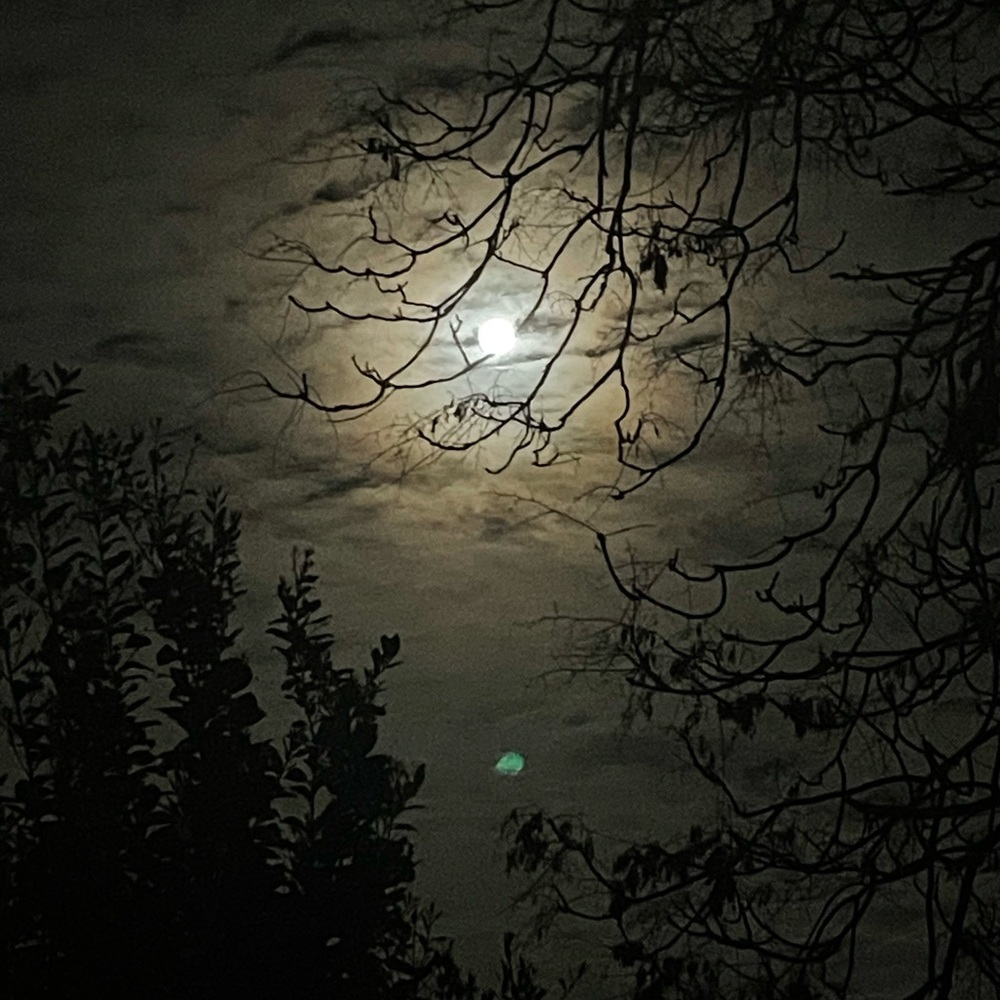 Meet your Posher, Nydia